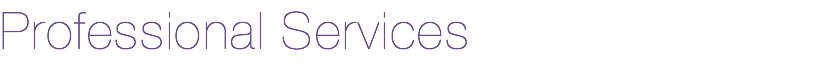 Professional Services